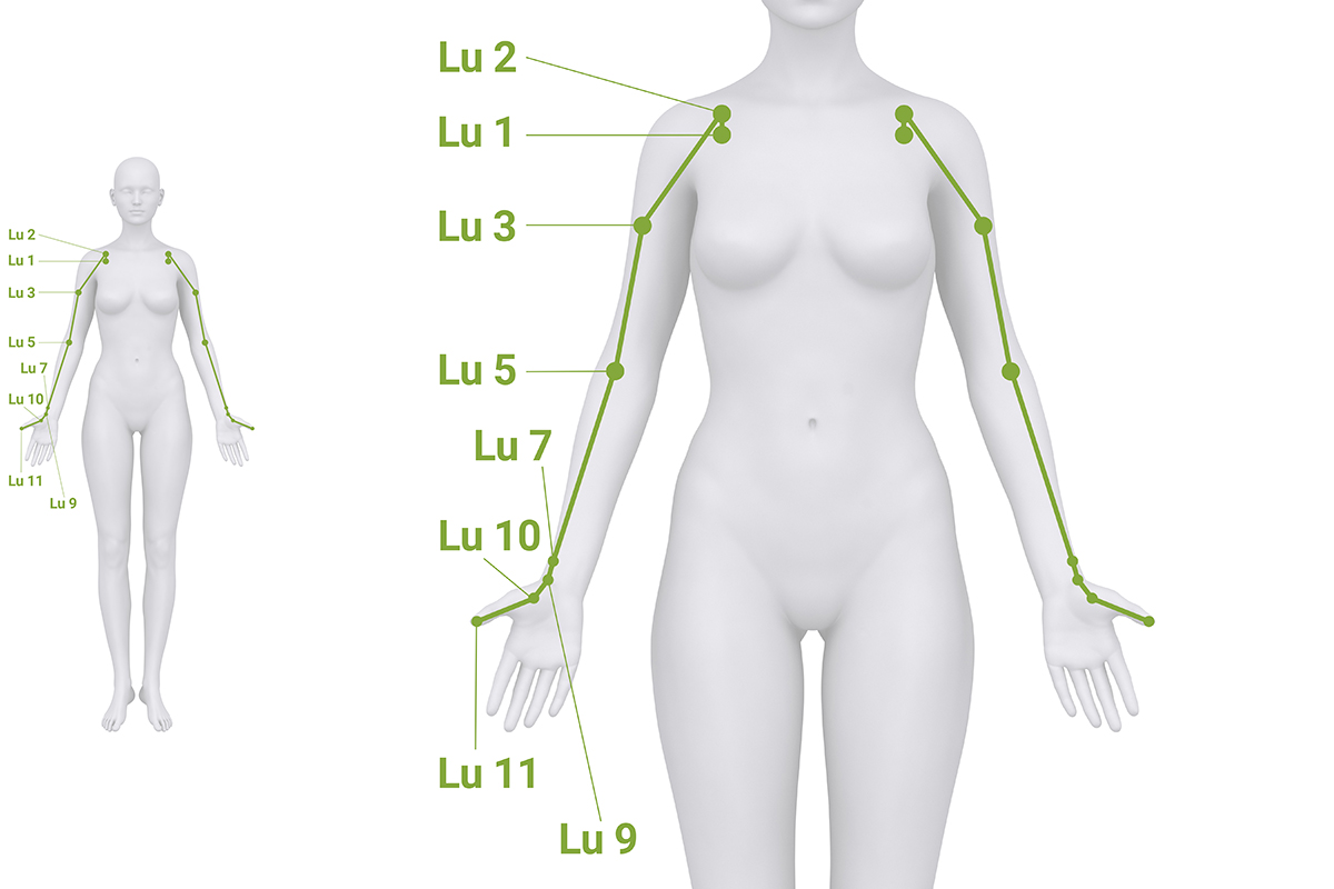 Schematische Darstellung des Lungen-Meridians vom Brustraum über die Innenseite des Arms bis zum Daumen.