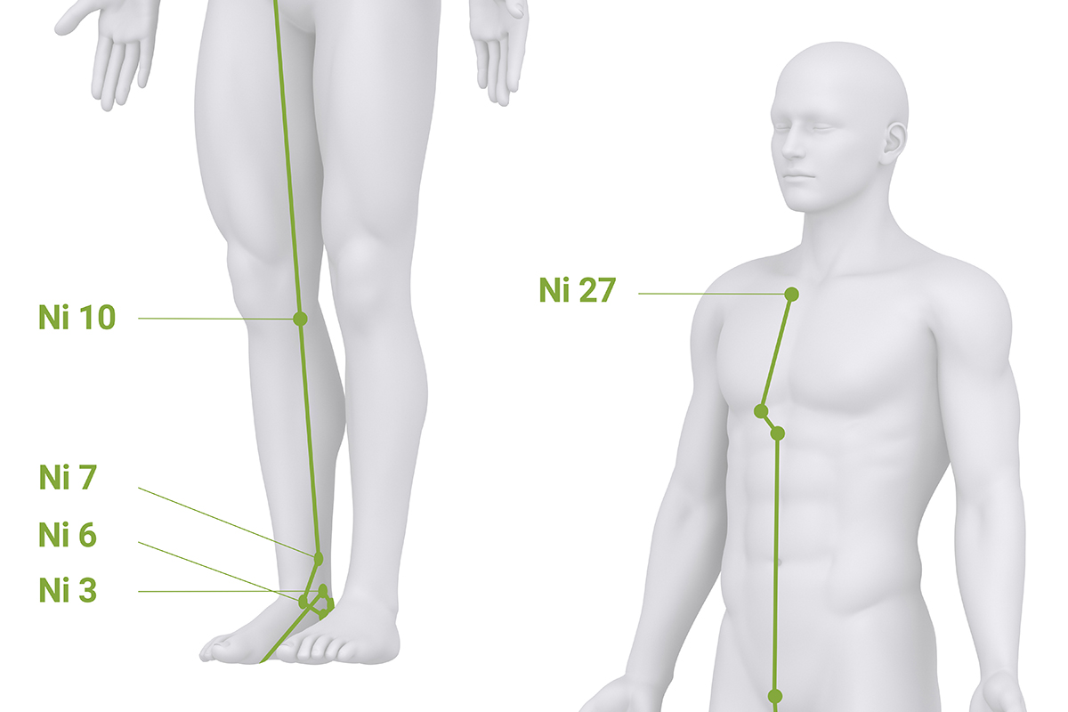 Übersichtsgrafik des Nieren-Meridians vom Fuß über die Beininnenseite bis in den Brustbereich gemäß TCM.