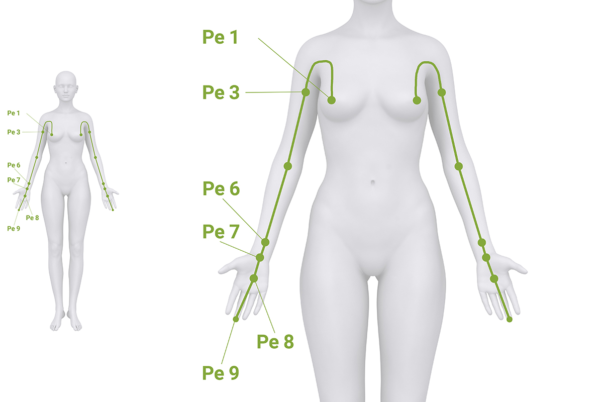 Grafische Darstellung des Verlaufs des Perikard-Meridians entlang der Innenseite des Arms bis zum Mittelfinger nach TCM.