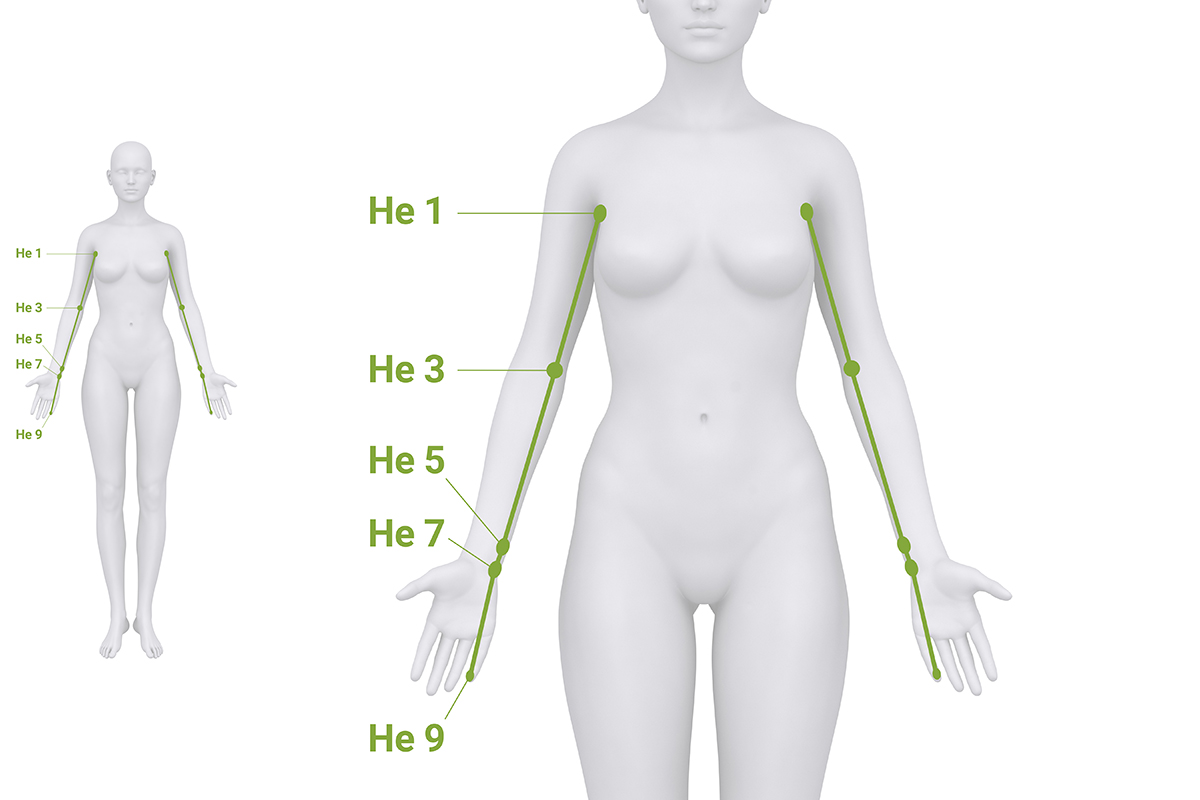 Verlauf des Herz-Meridians mit markierten Akupunkturpunkten an Brust, Arm, Handgelenk und Hand