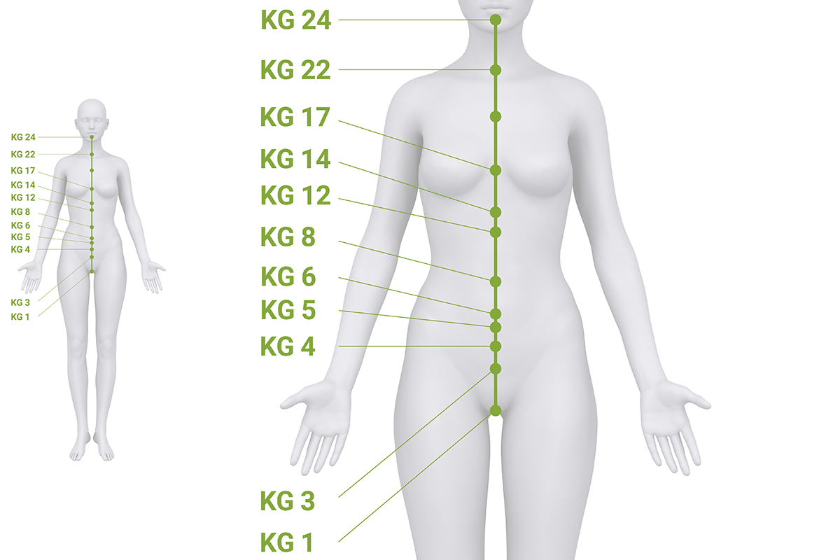 Verlauf des Konzeptionsgefäß-Meridians mit markierten Akupunkturpunkten auf der Körpervorderseite
