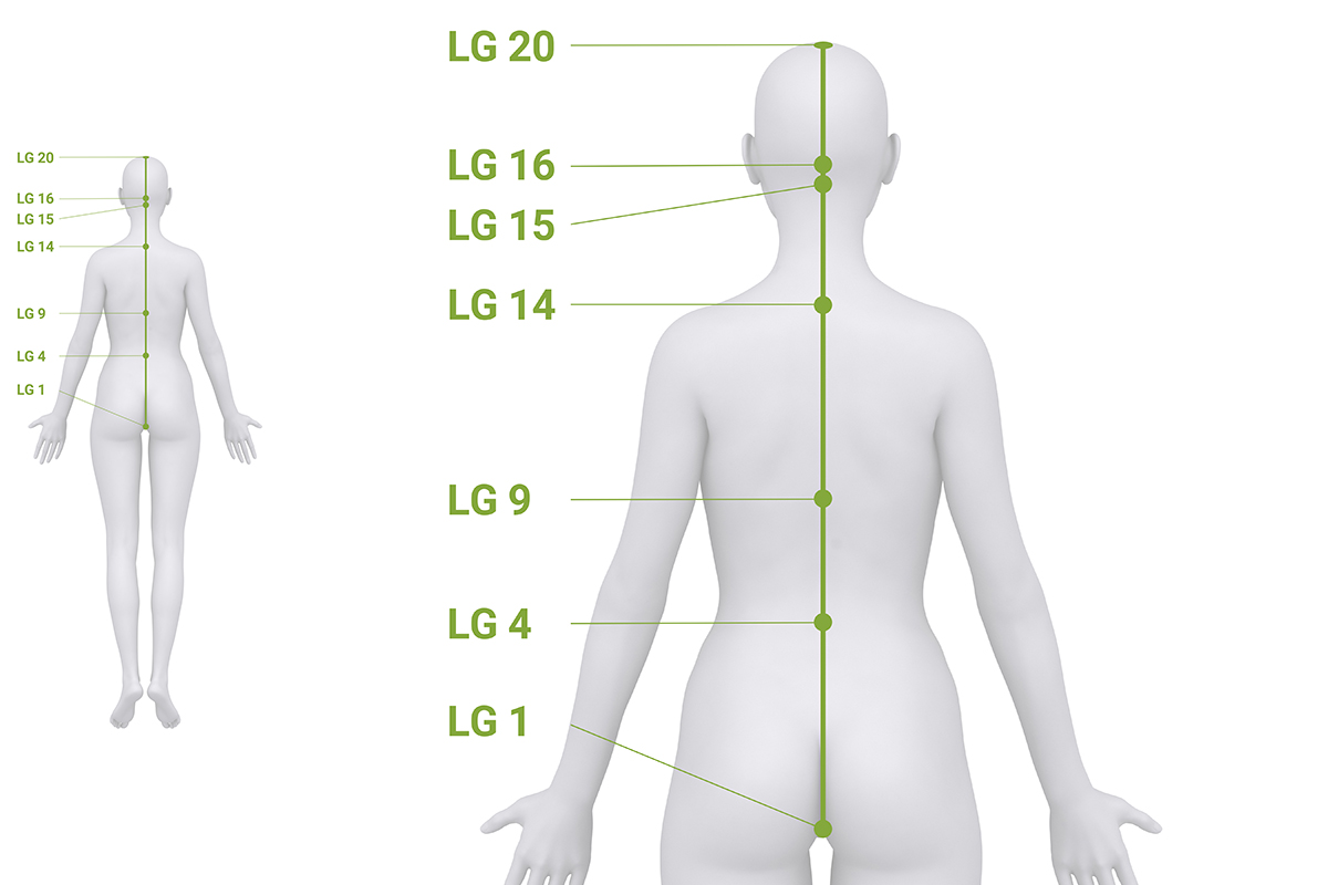 Verlauf des Lenkergefäß-Meridians mit markierten Akupunkturpunkten entlang der Körperrückseite